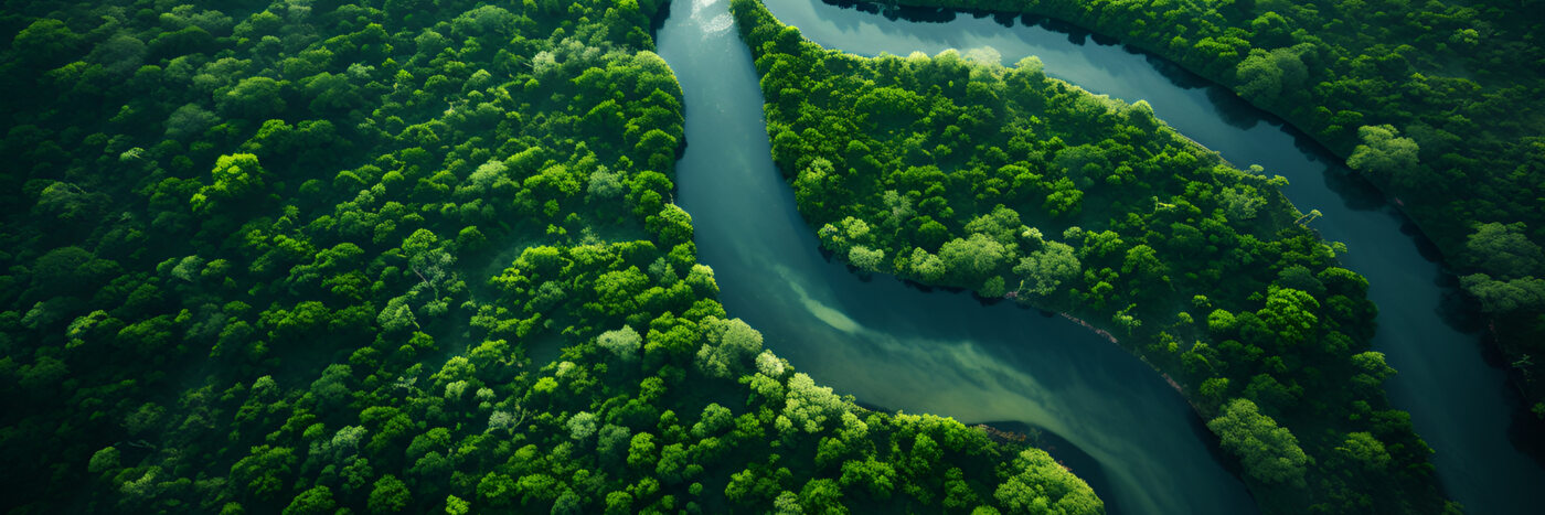 House, Building Technology & Sanitary Industry