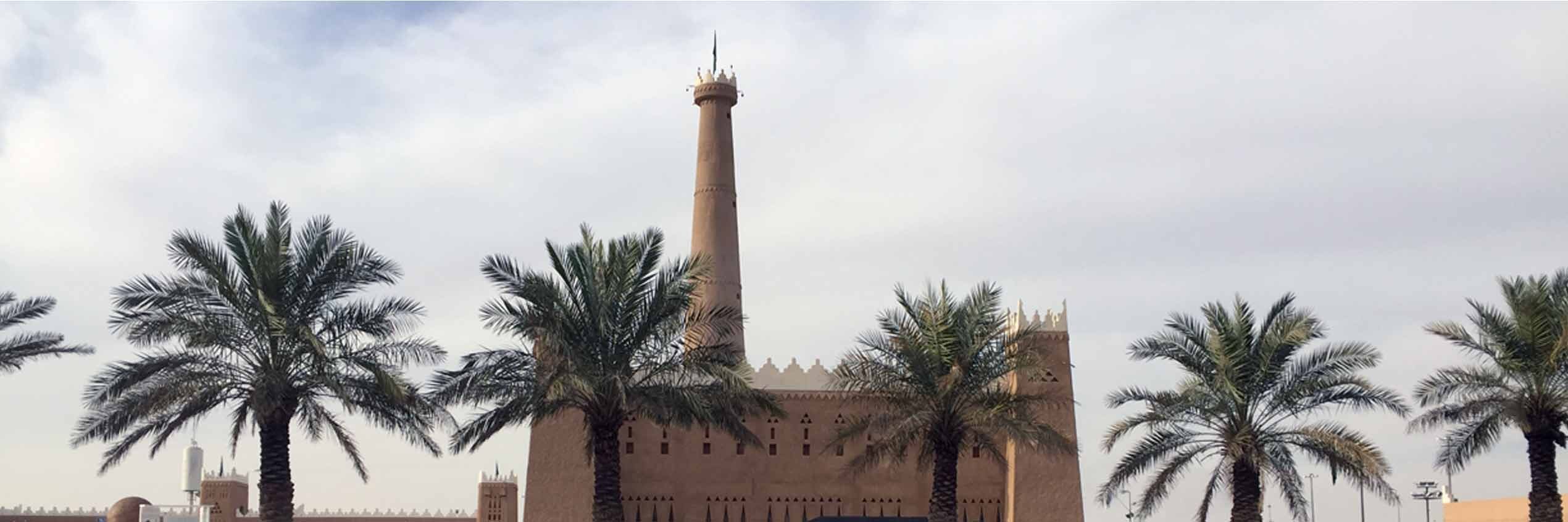 a castle with palm trees