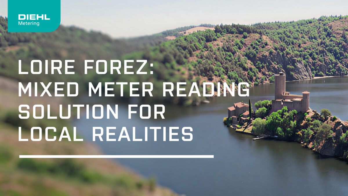 Discover the project in video