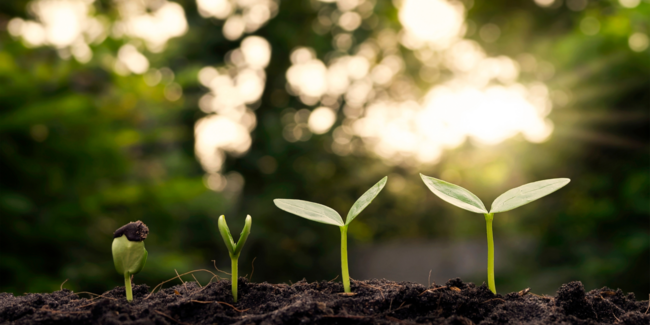 ecovadis Silbermedaille Sustainability Ranking