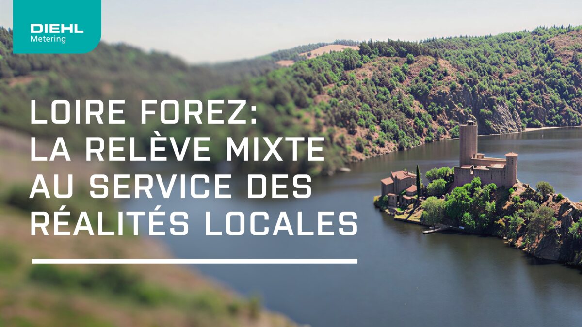 paysage nature avec un château sur une ile, pour Loire Forez