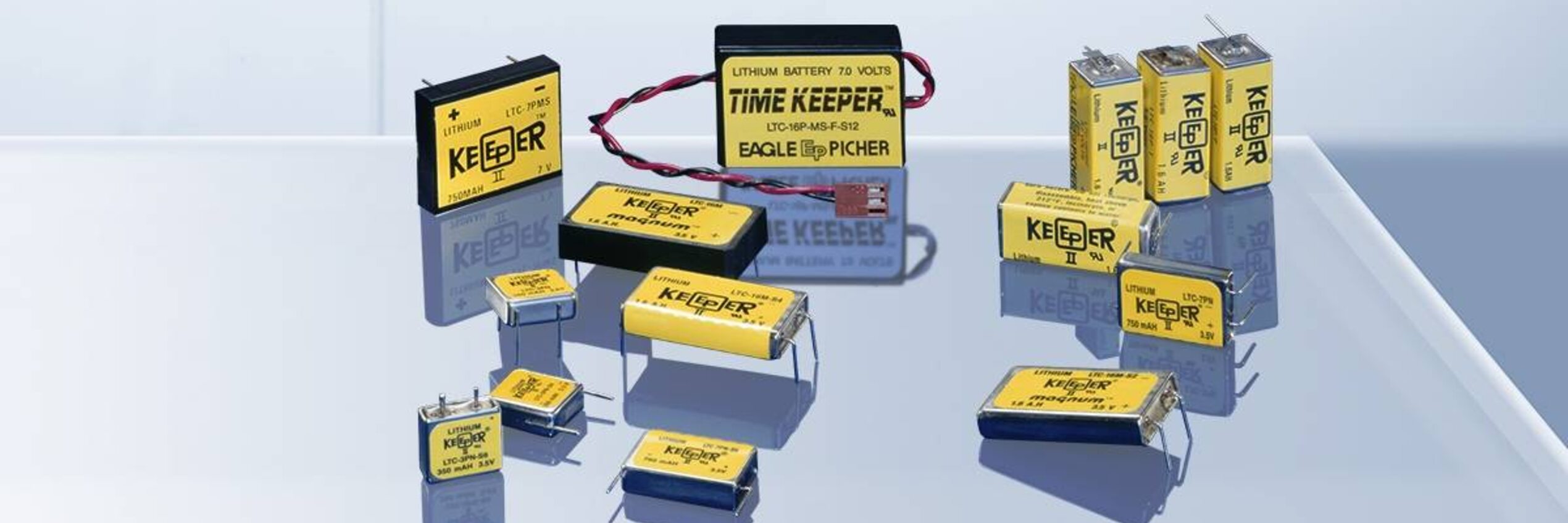 Lithium-Thionylchloride Batteries