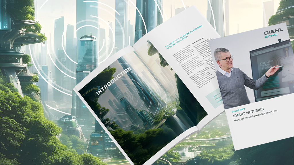 Smart cities development with IoT & smart metering solutions | Diehl ...