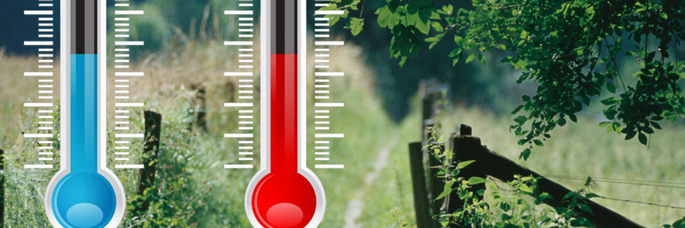 Environmental detection by thermal analysis