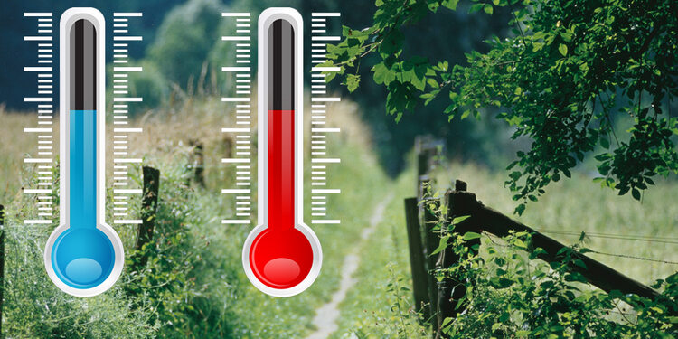 Environmental detection by thermal analysis