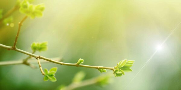 Reduce CO₂-Footprint